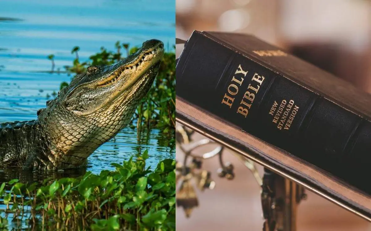 En la biblia hay una larga lista de animales que está prohibido comer, incluídos los cocodrilos Pixabay
